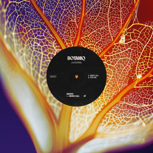 GRUUVE — Weird Call EP cover artwork