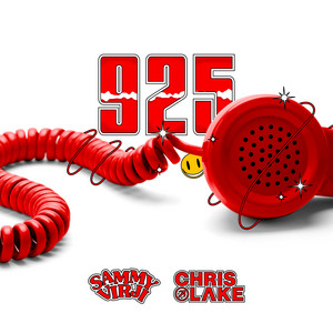 Sammy Virji, Chris Lake and RoRo — 925 cover artwork